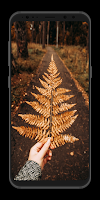Autumn Wallpaper ảnh chụp màn hình 3