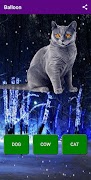 Mind Game اسکرین شاٹ 2
