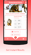 Monkey identification - identi скриншот 1