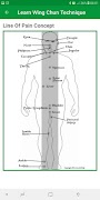 Learn Wing Chun Techniques imagem de tela 6