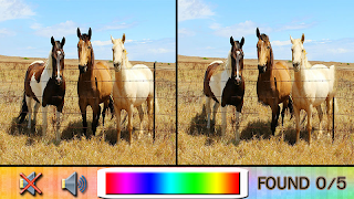 Find Difference horse اسکرین شاٹ 3