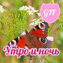 Russian Morning & Night GIFs APK