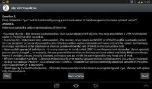 Java/Spring/J2EE Questionnaire Screenshot 5