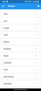 Flutter UI Screenshot 5
