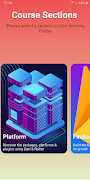 Master Flutter imagem de tela 4