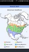 4 Schermata iBird Yard Plus Guide to Birds