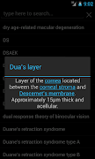 Dunn Vision Reference โปสเตอร์