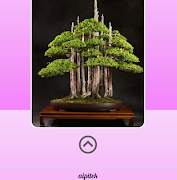 Making Bonsai Trees screenshot 2