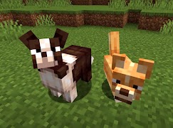 1 Schermata Cane Mod Animali domestici