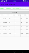 CSV File Search Viewer(by SQL and keyword) screenshot 5