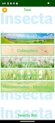 InsectSpider Quest 360 스크린샷 3