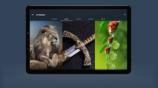 CN Wallpaper اسکرین شاٹ 6