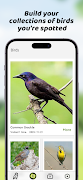 Birdnee penulis hantaran