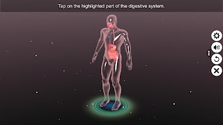 3D Human Digestive System 포스터
