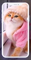 Teen wallpaper syot layar 2