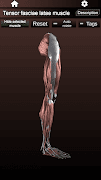Muscular System 3D (anatomy) ภาพหน้าจอ 7