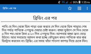 বাজরিগার পাখি পালন скриншот 3