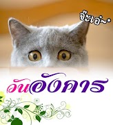 สวัสดีตอนเช้า สวัสดีวันอังคาร 截图 2