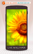 Sunflower 截圖 1