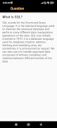 SQL Interview Questions ảnh chụp màn hình 2