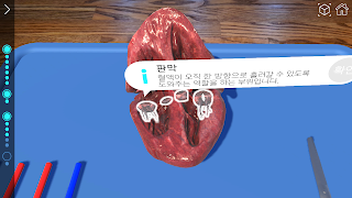 AR 해부실험실 Ekran Görüntüsü 6