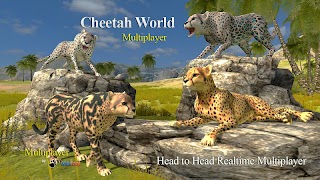 Cheetah Multiplayer स्क्रीनशॉट 3