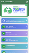 Bulk Rename File poster