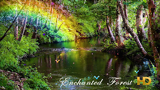 Enchanted Forest HD screenshot 4
