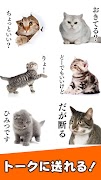 برنامه‌نما 猫スタンプ（実写スタンプ） عکس از صفحه