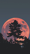 Moon Wallpaper ảnh chụp màn hình 6