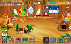 Bird Land: Pet Shop Bird Games ảnh chụp màn hình 5