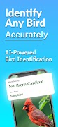 Bird Identifier: Birding Cartaz