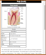 Basic Dental Surgery screenshot 6