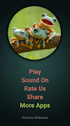 Find The Frog poster