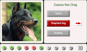 Guess the Dog: Tile Puzzles poster