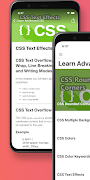CSS - Learn Programming screenshot 4