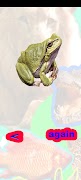 Poster Animals Sounds: World Sounds