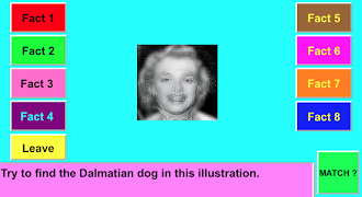 Illusion Match screenshot 7