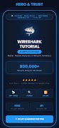 Wireshark Tutorial bài đăng