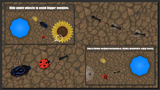 1 Schermata Ant Evolution : Insect Life