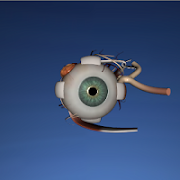 EON 3D Human Eye постер