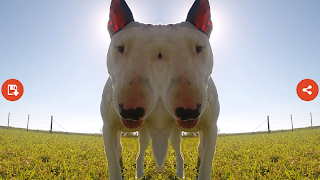 Mirror Camera اسکرین شاٹ 1