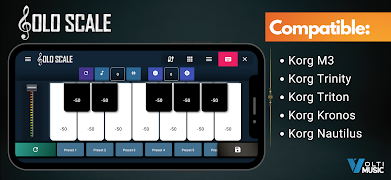 Solo Scale Controller syot layar 1