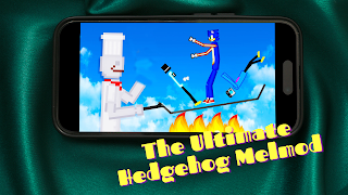 Hedgehog Mod Melon Playground 스크린샷 1