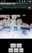 Picture Negative Color تصوير الشاشة 1