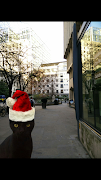 Cat Bomb Camera 截圖 4