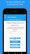Matrix Calculator | solution screenshot 2