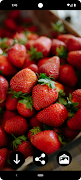 Strawberry Wallpapers স্ক্রিনশট 2