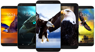 Eagle Wallpaper HD screenshot 2