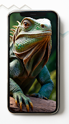 برنامه‌نما Iguana HD Wallpapers عکس از صفحه